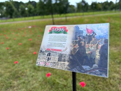 В Бобруйске РОО «Белая Русь» установила арт-объект «Гвоздики Памяти» в знаковый для всей страны день