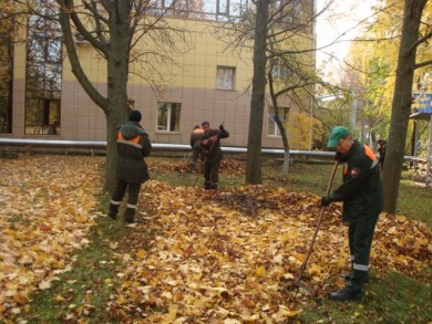 В Ленинском районе г.Бобруйска 21 октября 2017 года прошел городской субботник