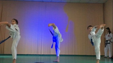 Бобруйские таэквондисты поделились с юными минчанами формулой спортивного успеха