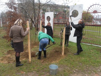 100 деревьев - родному городу!