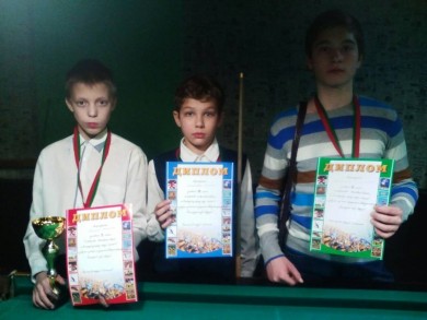 Удачный год для бобруйских бильярдистов