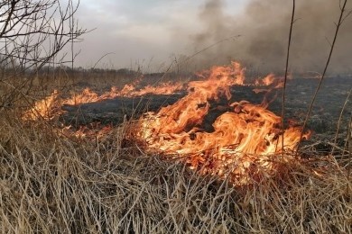 Сезон палов сухой растительности