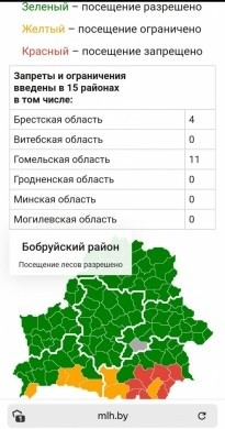 Когда можно в лес? Поясняют спасатели