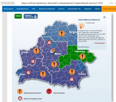 Спасатели напоминают о безопасности в лесу!